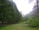 dscn3325 16 800 600