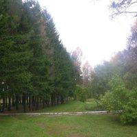 dscn3325 16 800 600